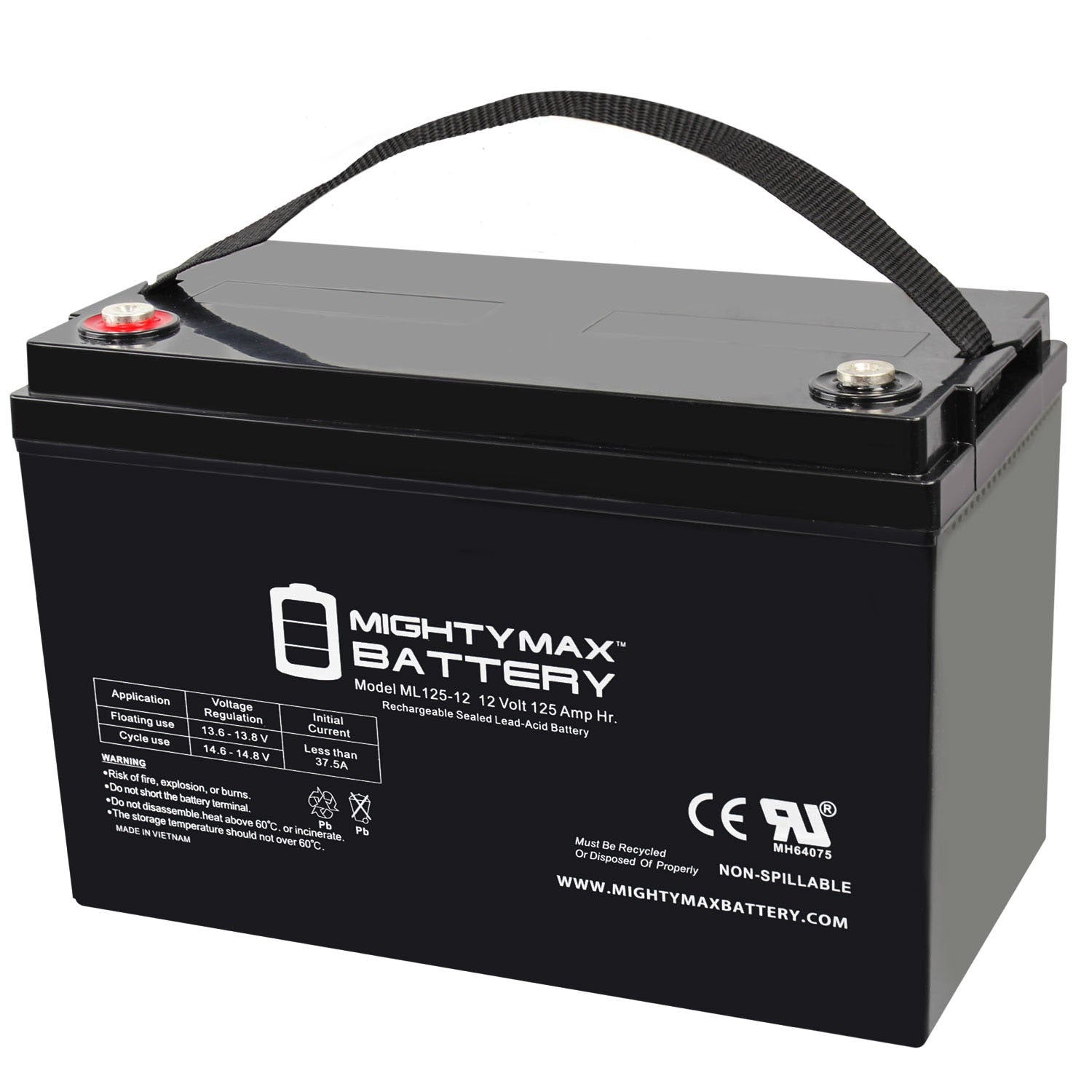 Mighty Max Battery 12V 125AH Sumpro 75 Flood Control Sump Pump Rechargeable Sealed lead acid 12120 Backup power Batteries